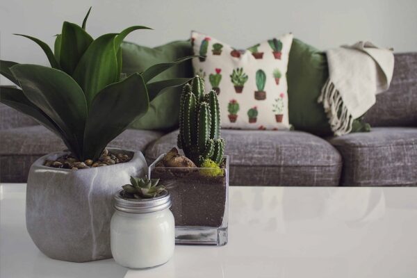 Interior Design Services in Barbados | Rapson Inc.
